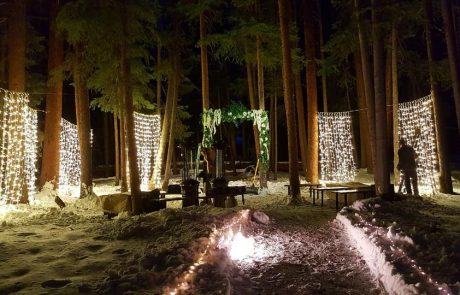 26195750 10155833733265460 2694260313011063640 n